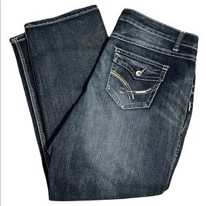 EUC plus-size jeans